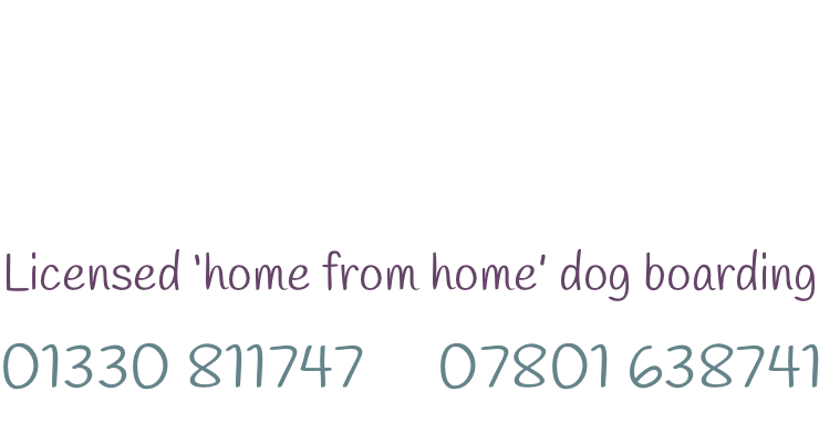 Love Dogs Telephone 01330 811747 or 07801 638741